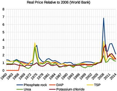 Global Phosphorus Fertilizer Market and National Policies: A Case Study Revisiting the 2008 Price Peak